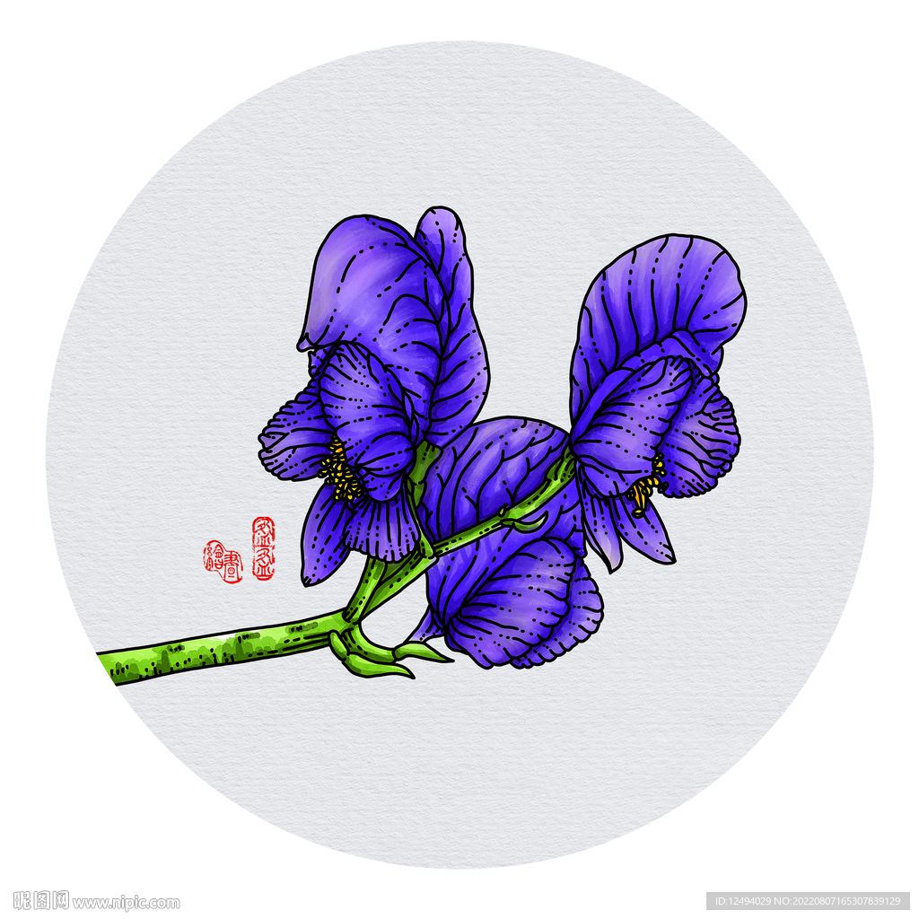 川乌头