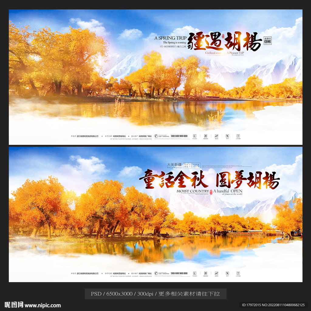 胡杨林