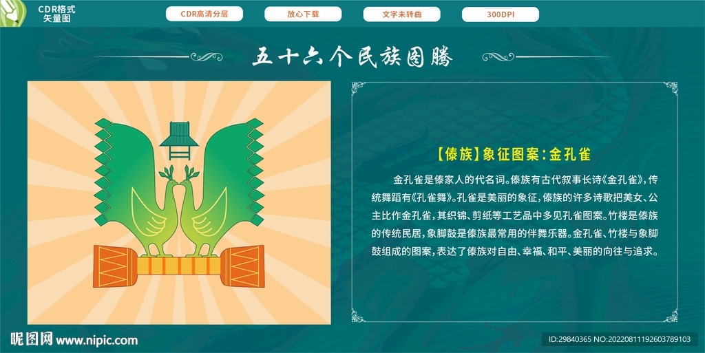 傣族象征图案金孔雀
