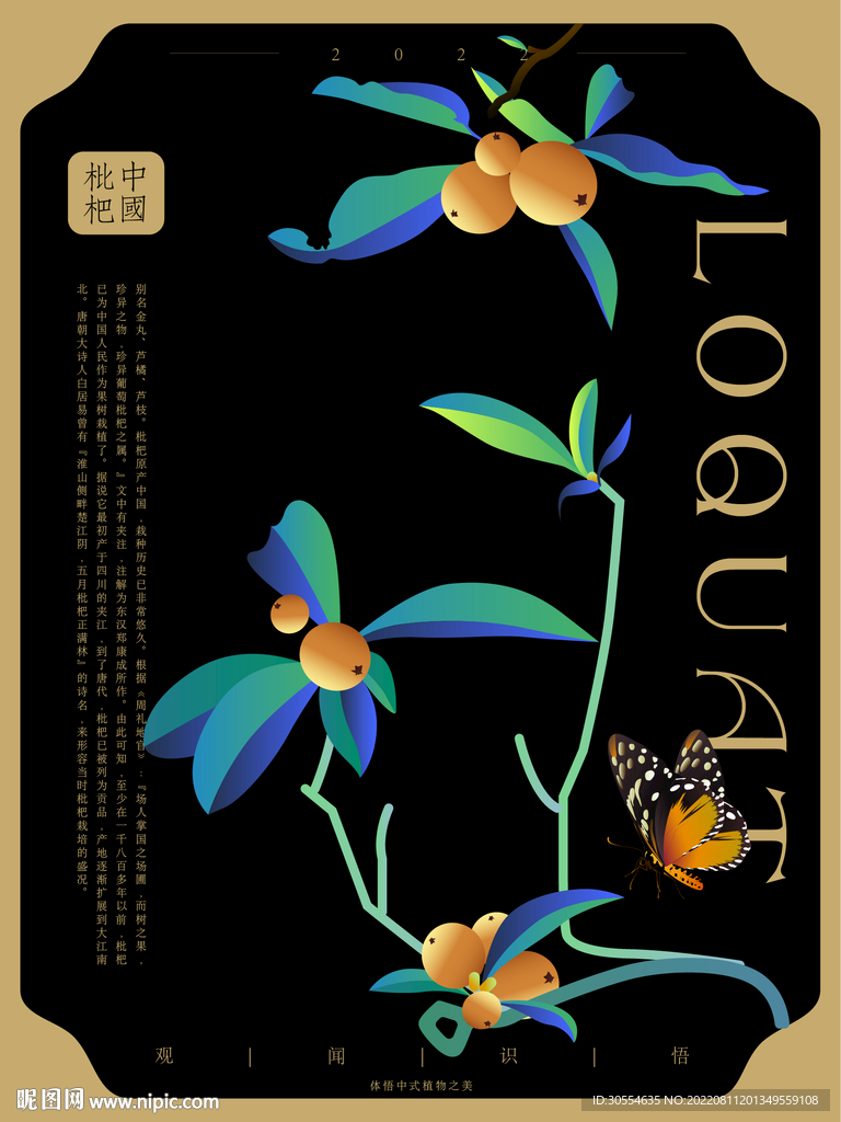 中式花草海报  枇杷