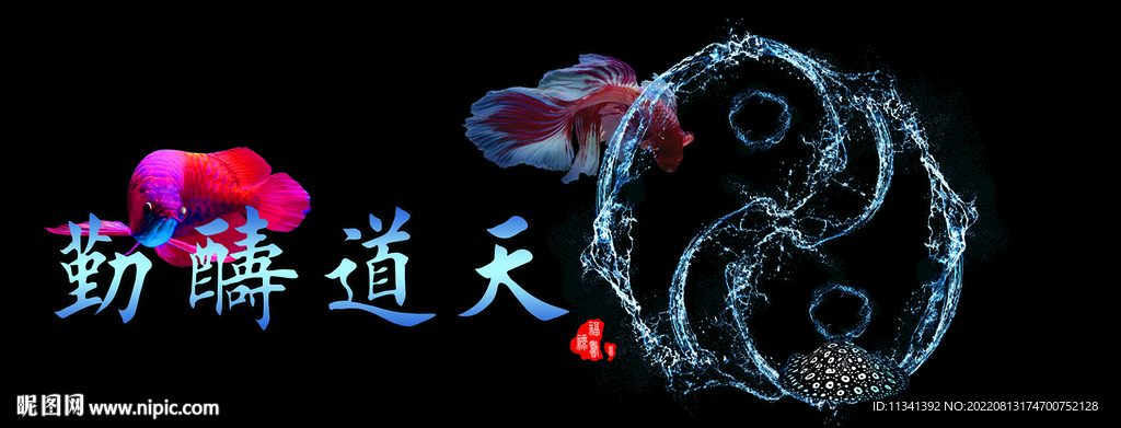 鱼缸背景