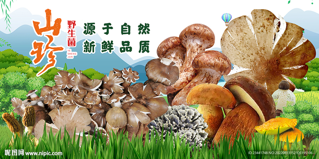 野生菌 