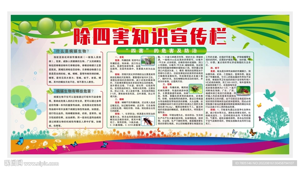 除四害知识宣传栏