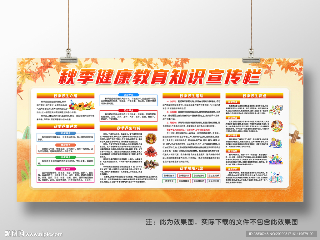 秋季健康教育宣传栏