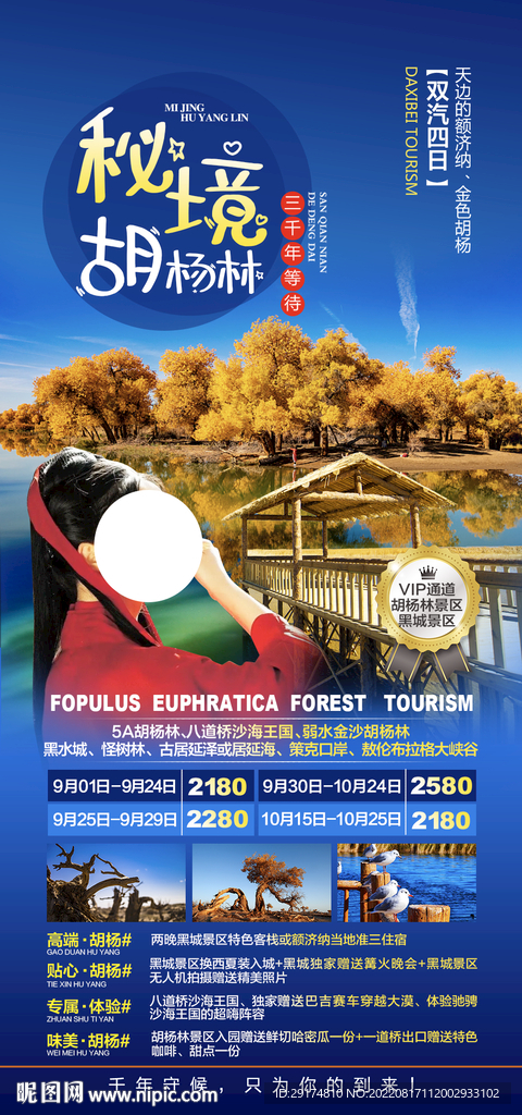 胡杨林旅游海报