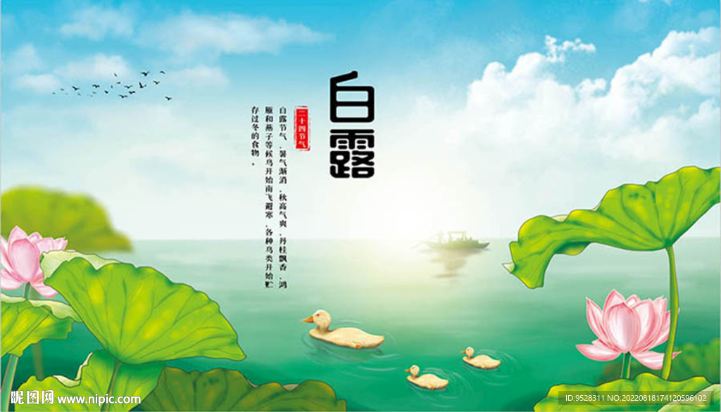 白露节气海报