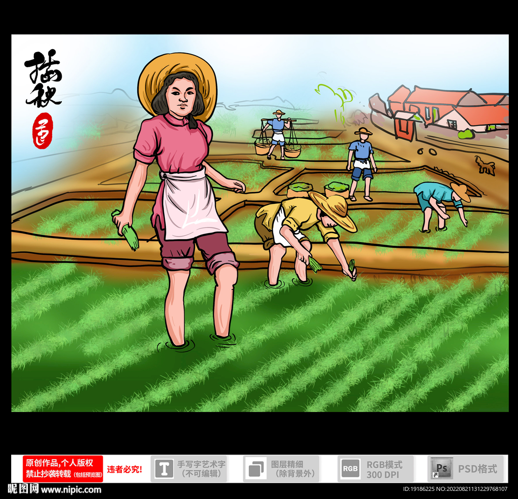 插秧插画