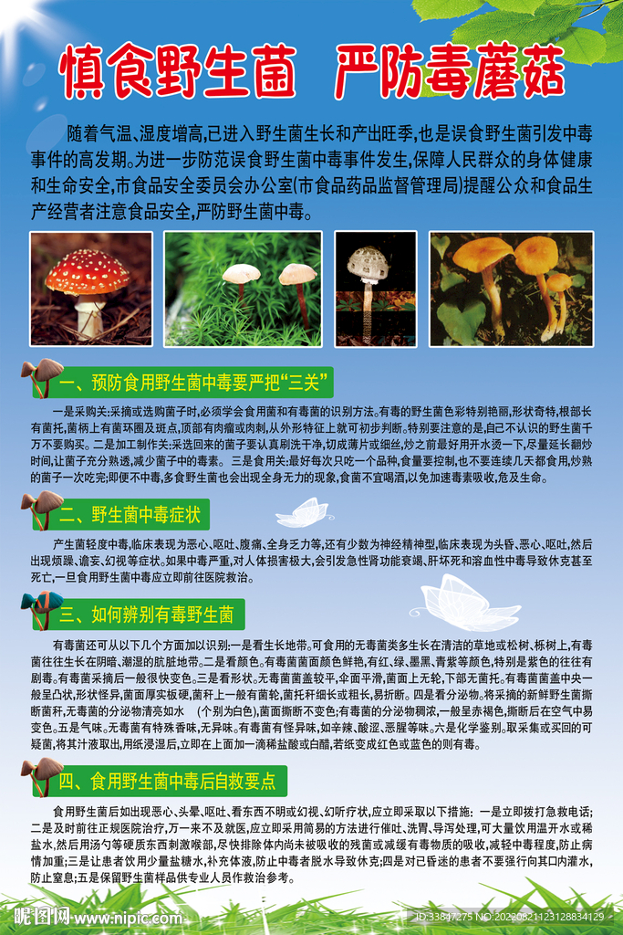 慎食野生菌 严防毒蘑菇