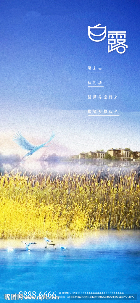 白露