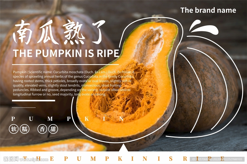 南瓜海报