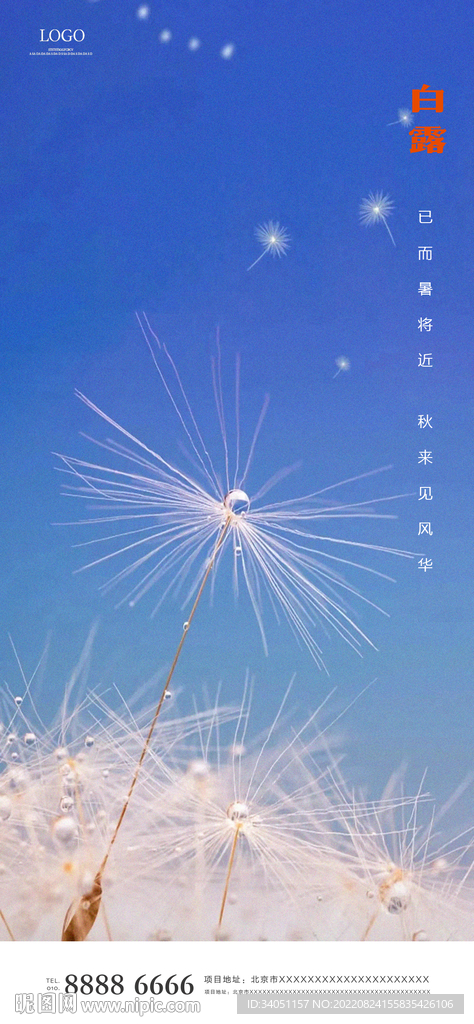 白露