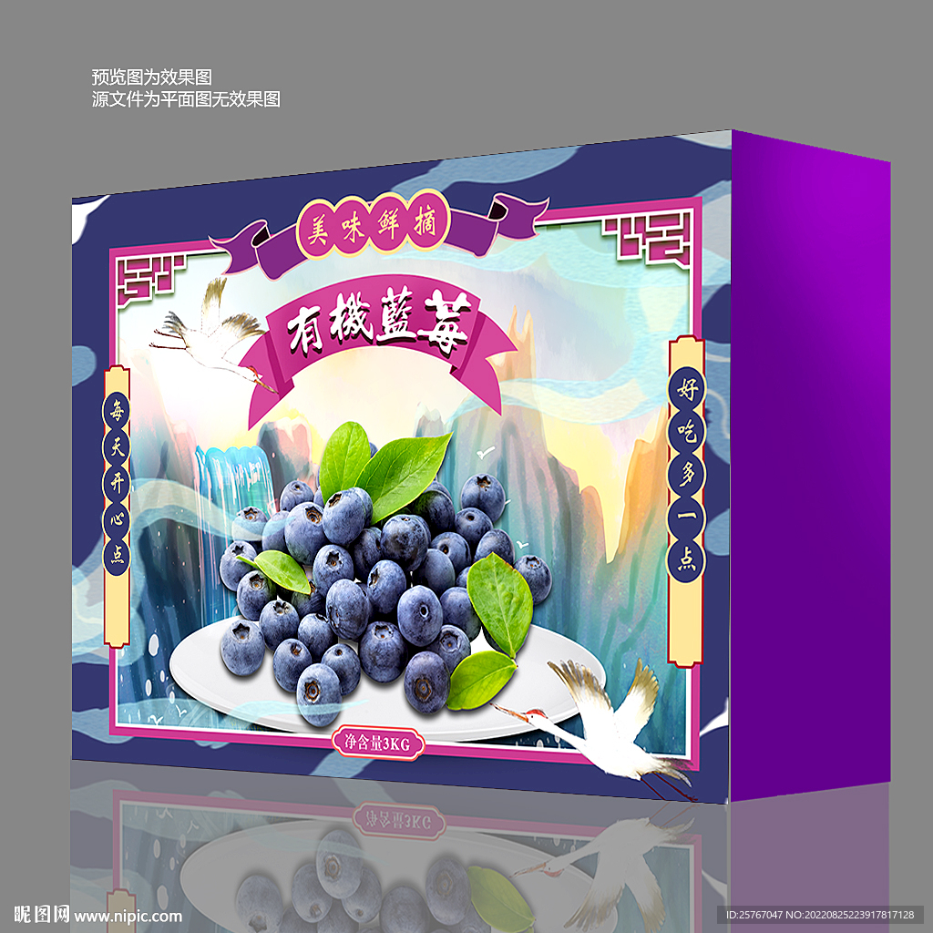 蓝莓包装礼盒