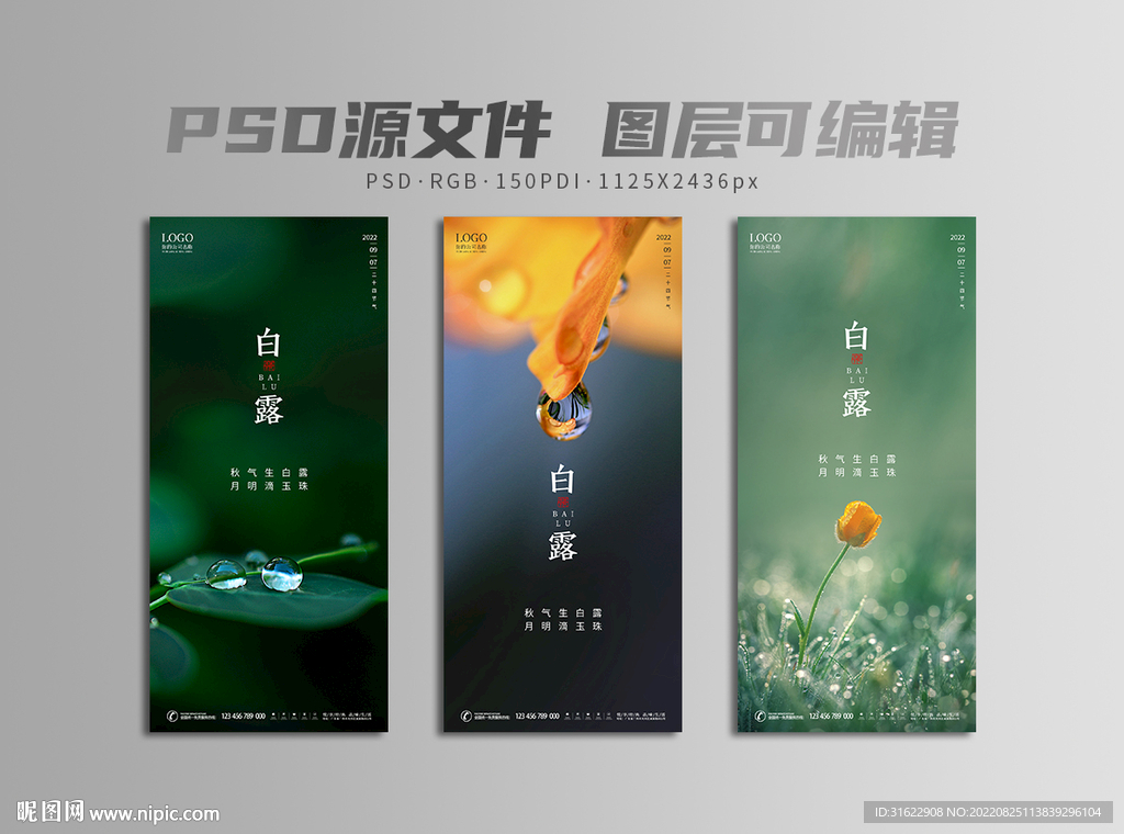 白露