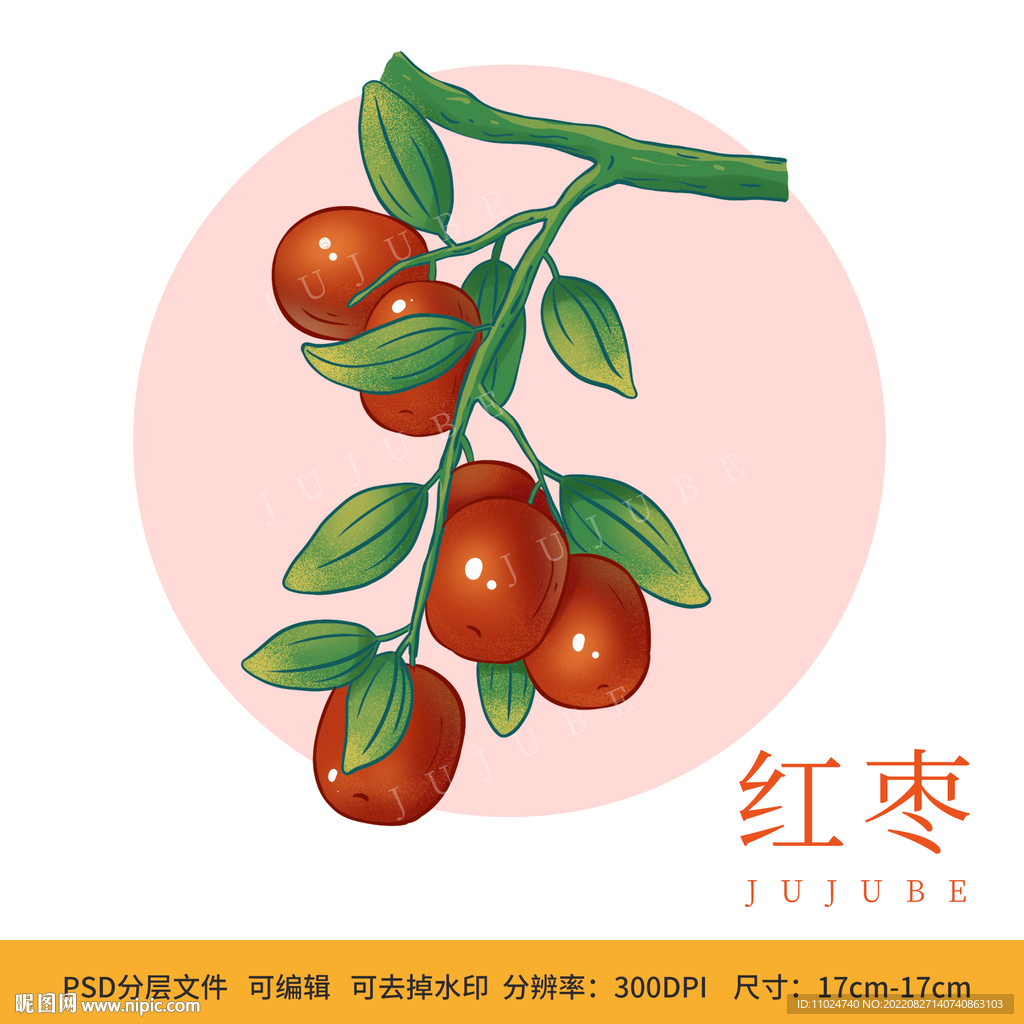 手绘红枣包装插画