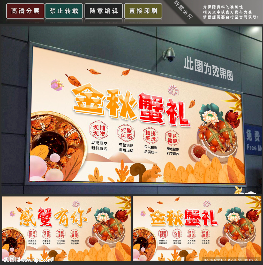 金秋蟹礼
