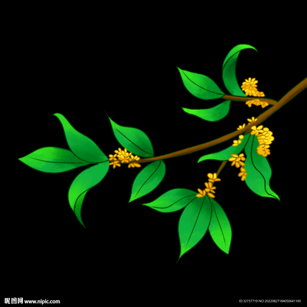桂花元素