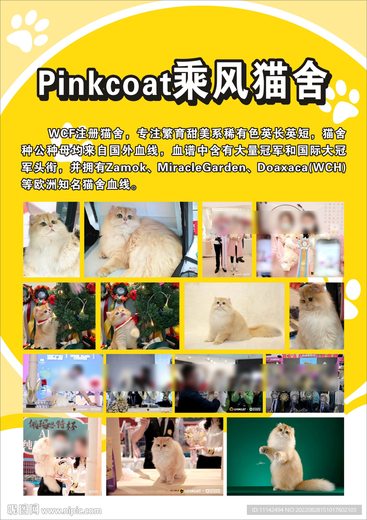 猫舍