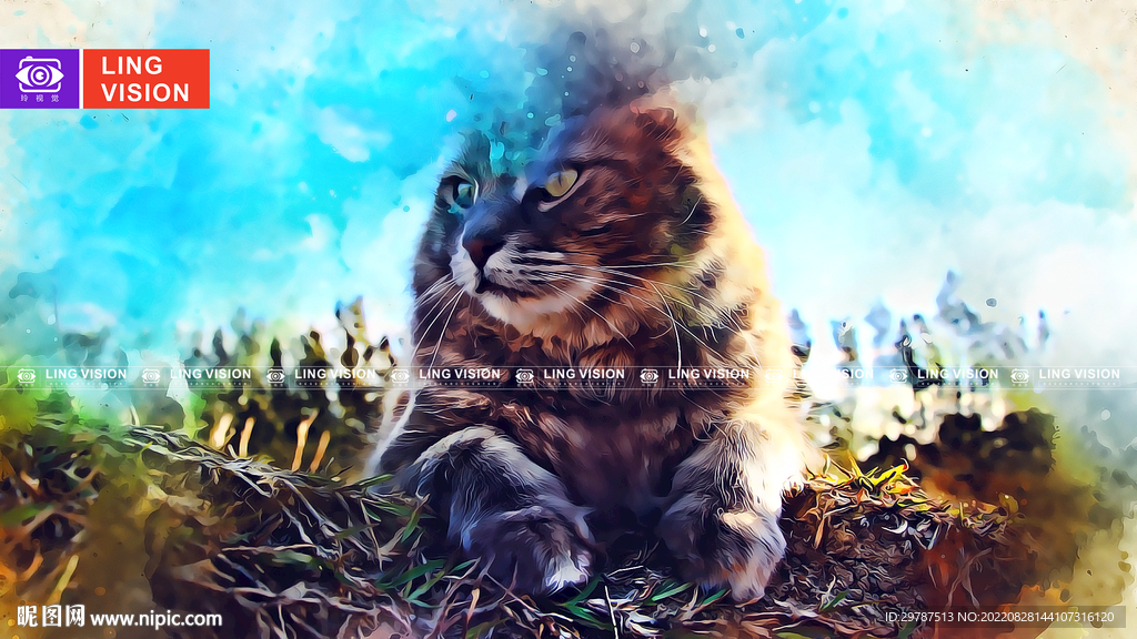 猫