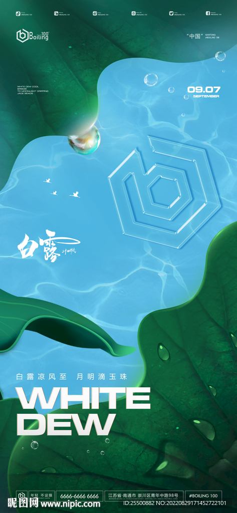 节气海报