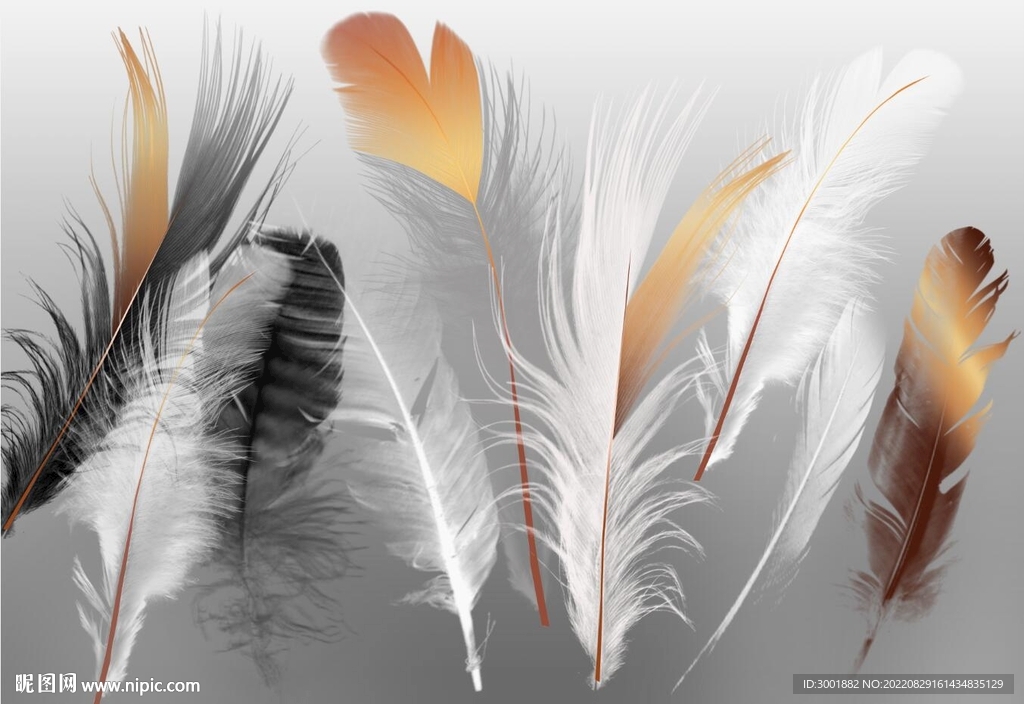 轻奢装饰画 羽毛