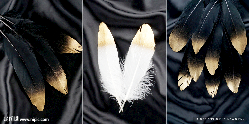 轻奢装饰画 羽毛