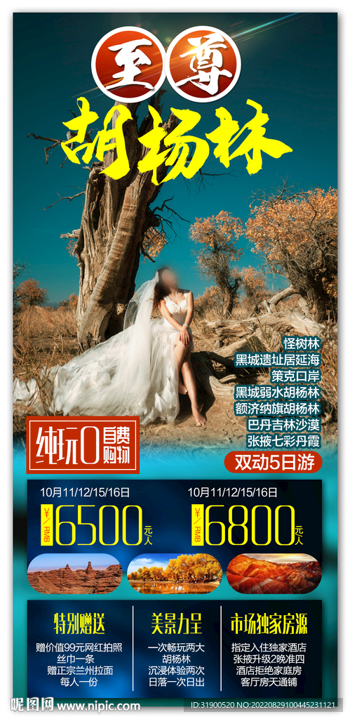 胡杨林旅游