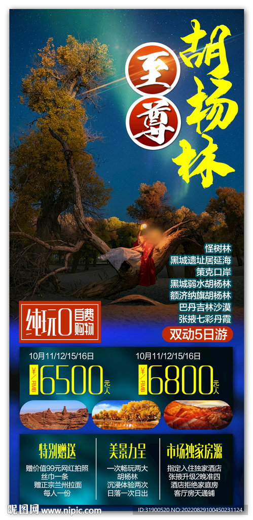 胡杨林旅游