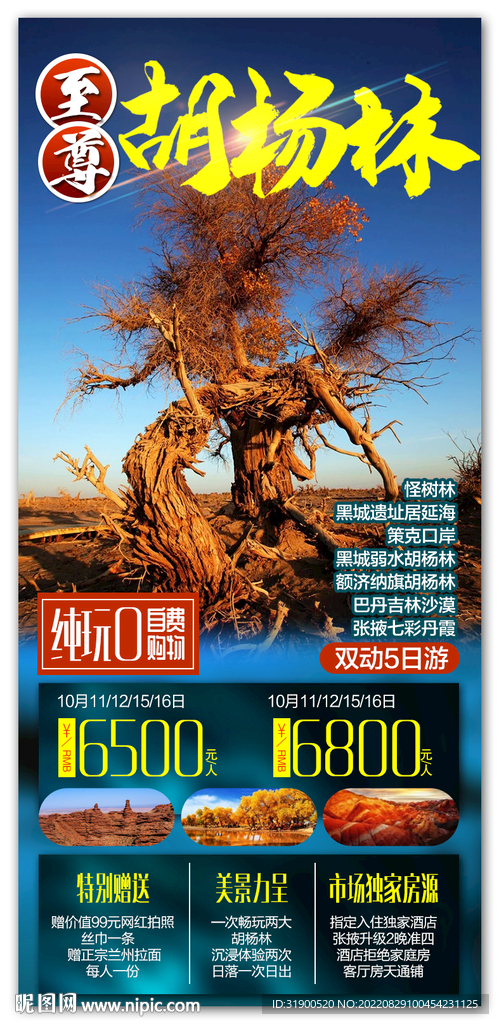 胡杨林