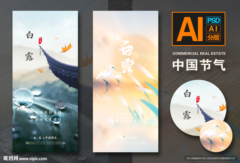 白露