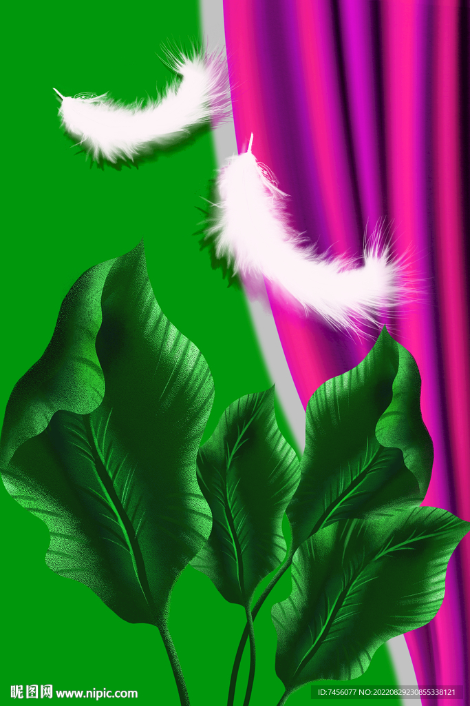 羽毛植物高清艺术挂画装饰画
