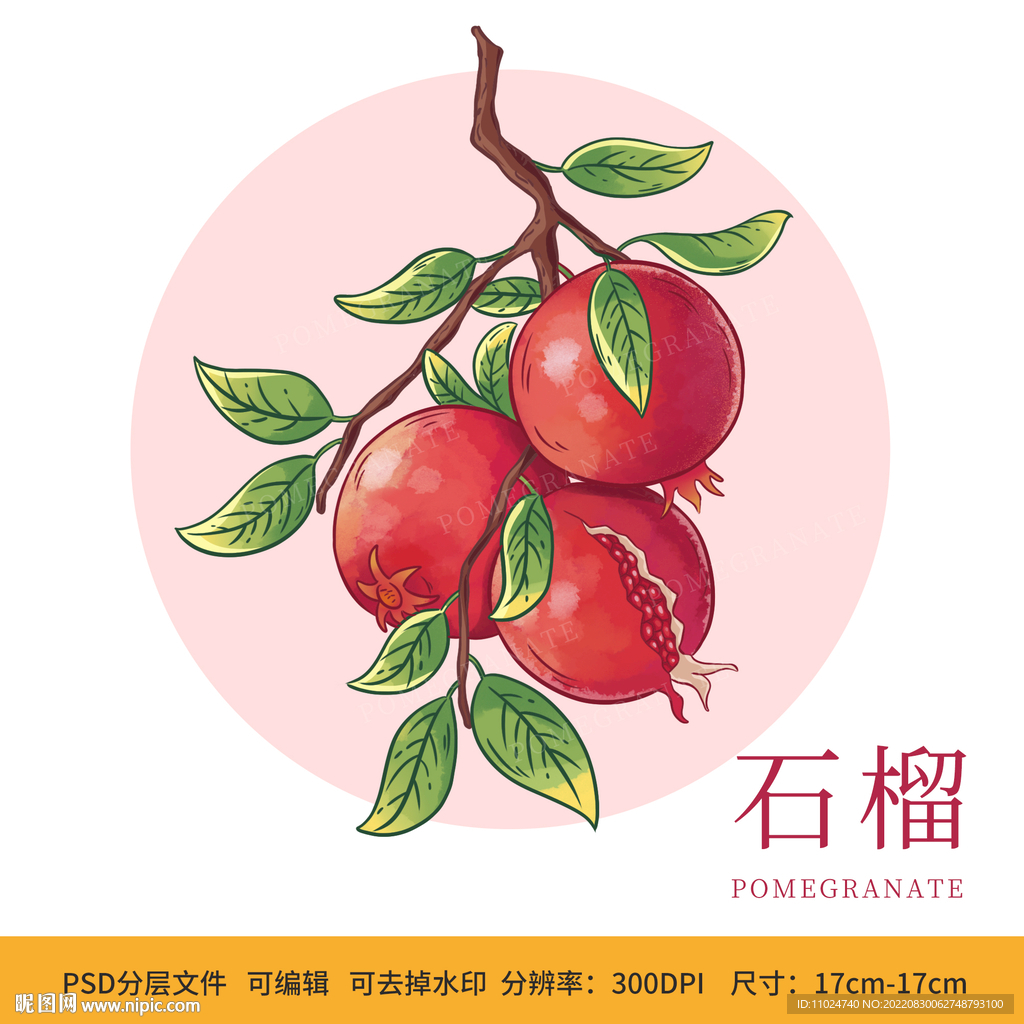 手绘水果石榴包装插画