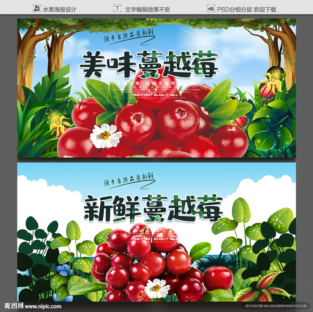 蔓越莓