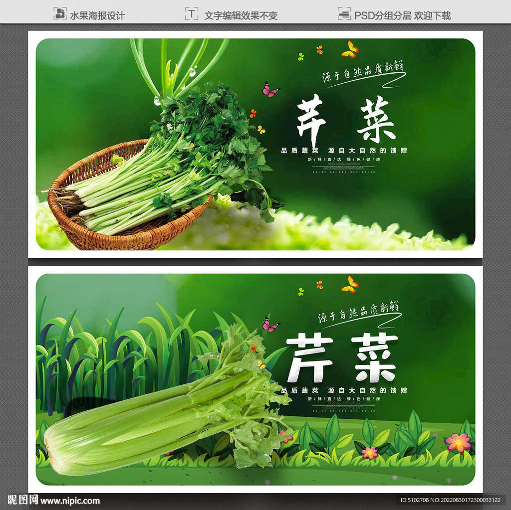 芹菜