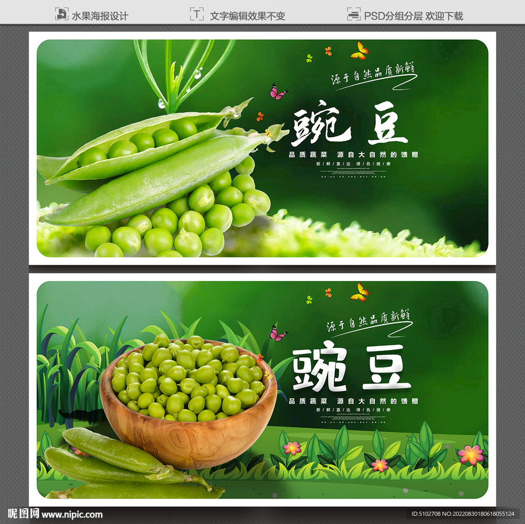 豌豆