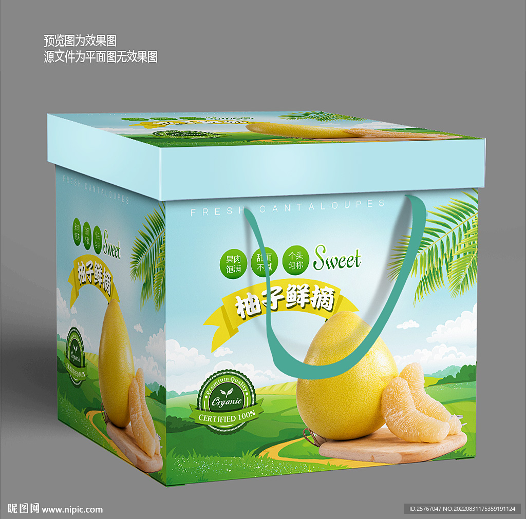 柚子礼盒