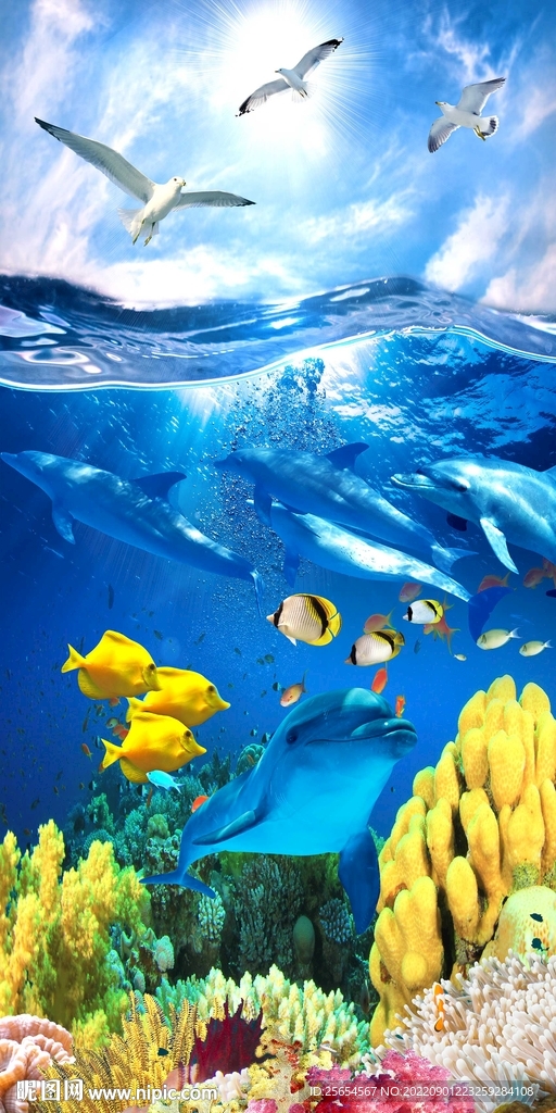 海底海豚玄关背景