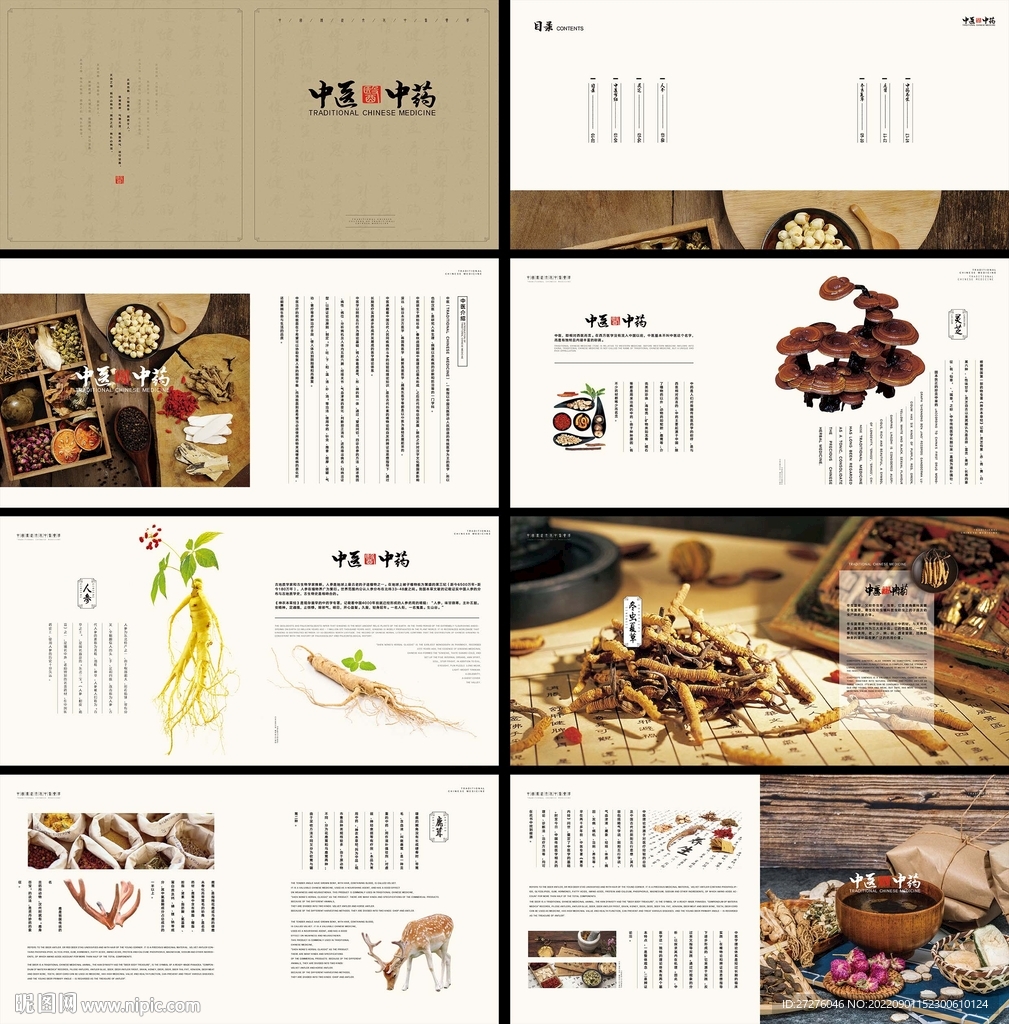 中药画册