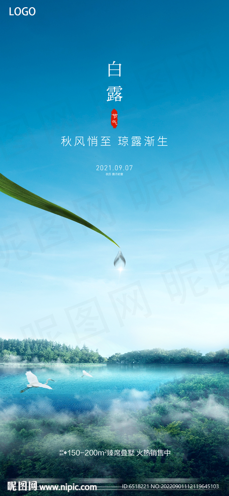 二十四节气白露宣传海报