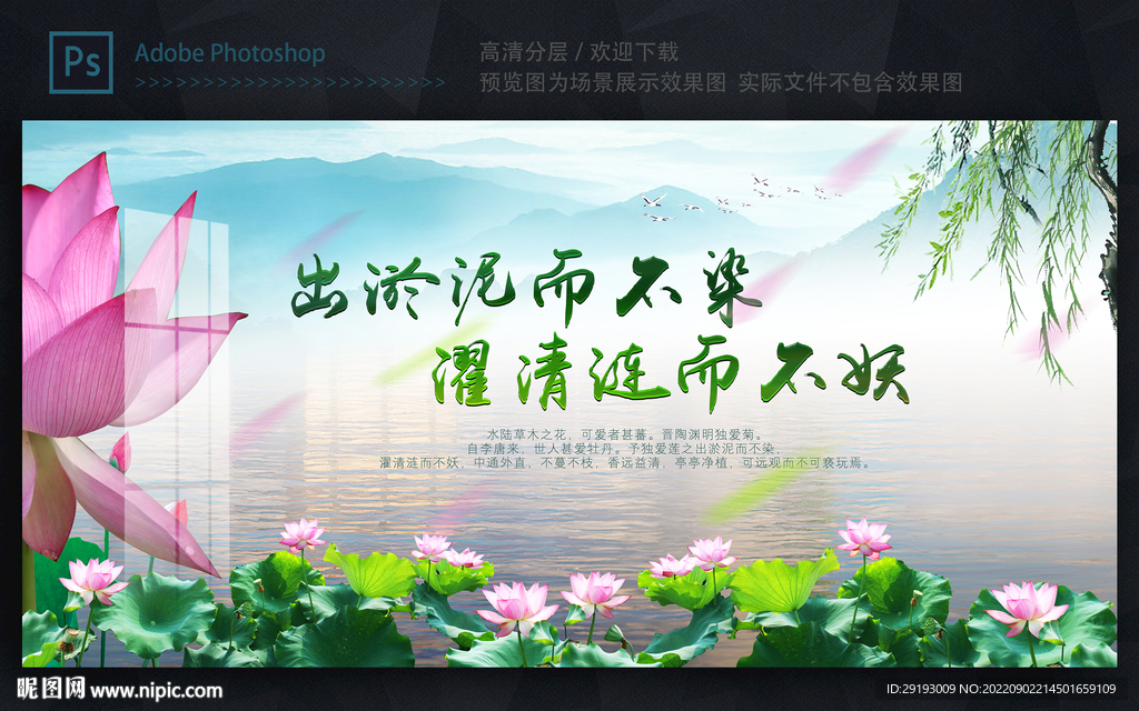 出淤泥而不染
