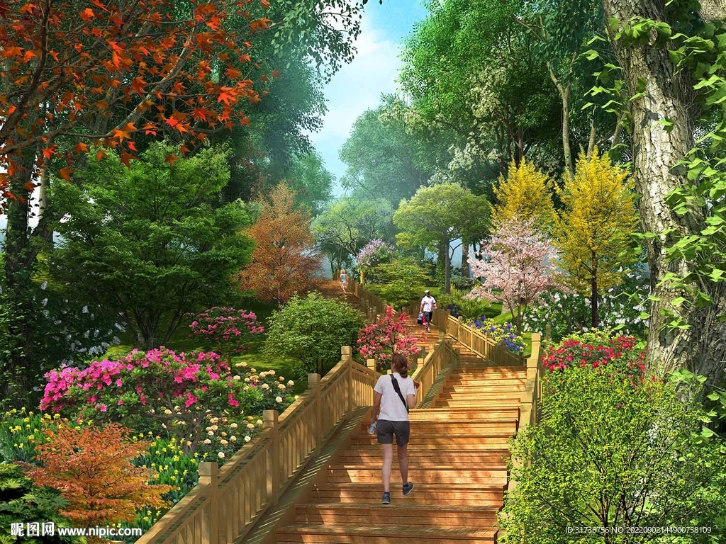 木栈道