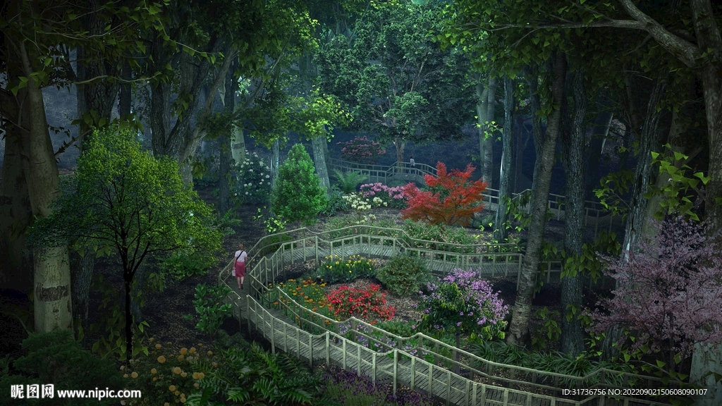 木栈道