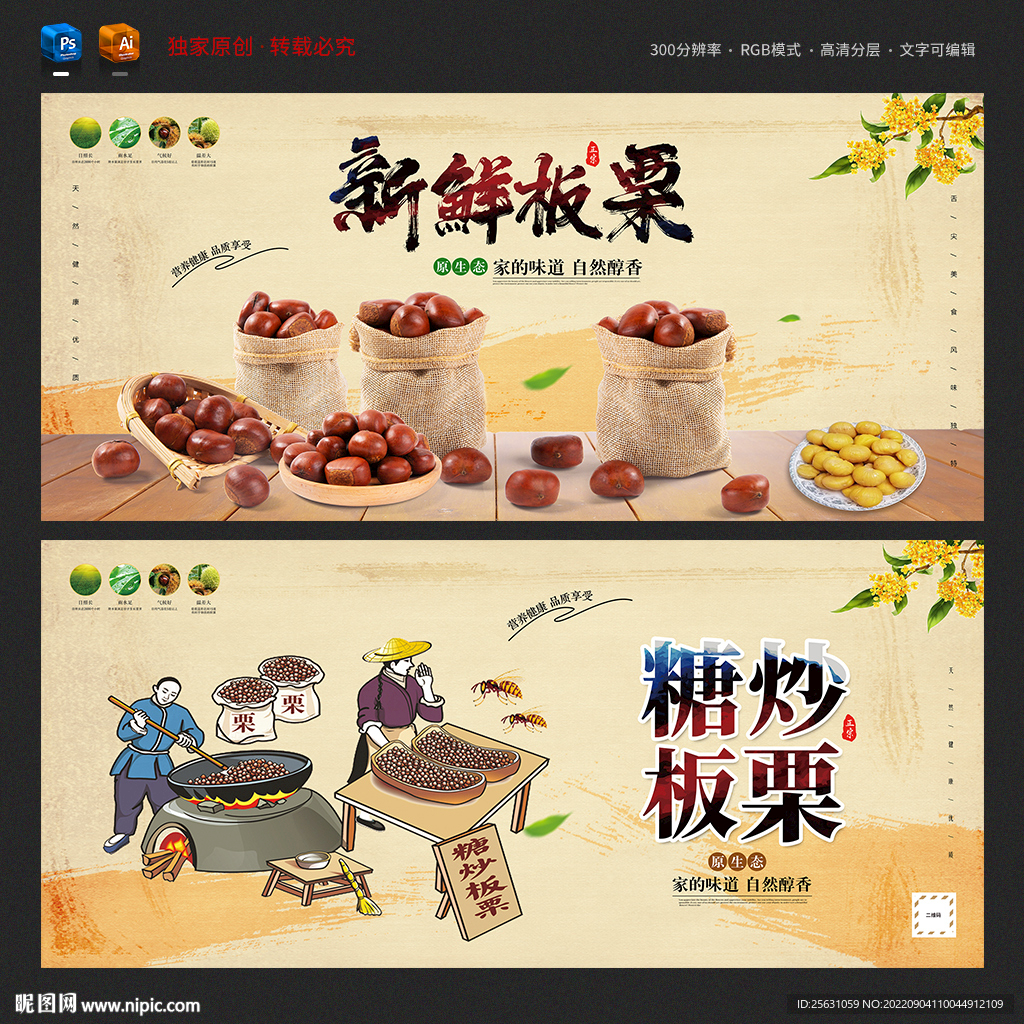 板栗