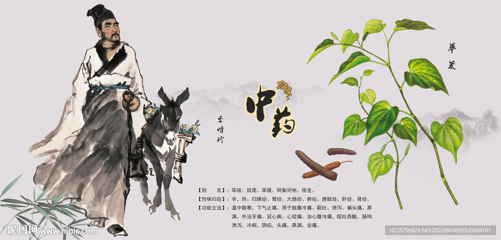 中医文化中医
