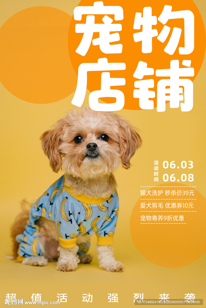宠物店海报