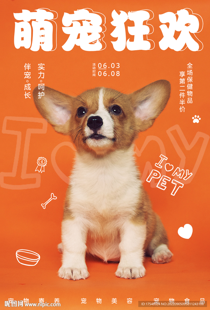 宠物海报