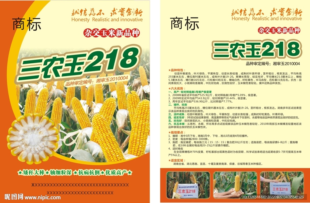玉米宣传单页