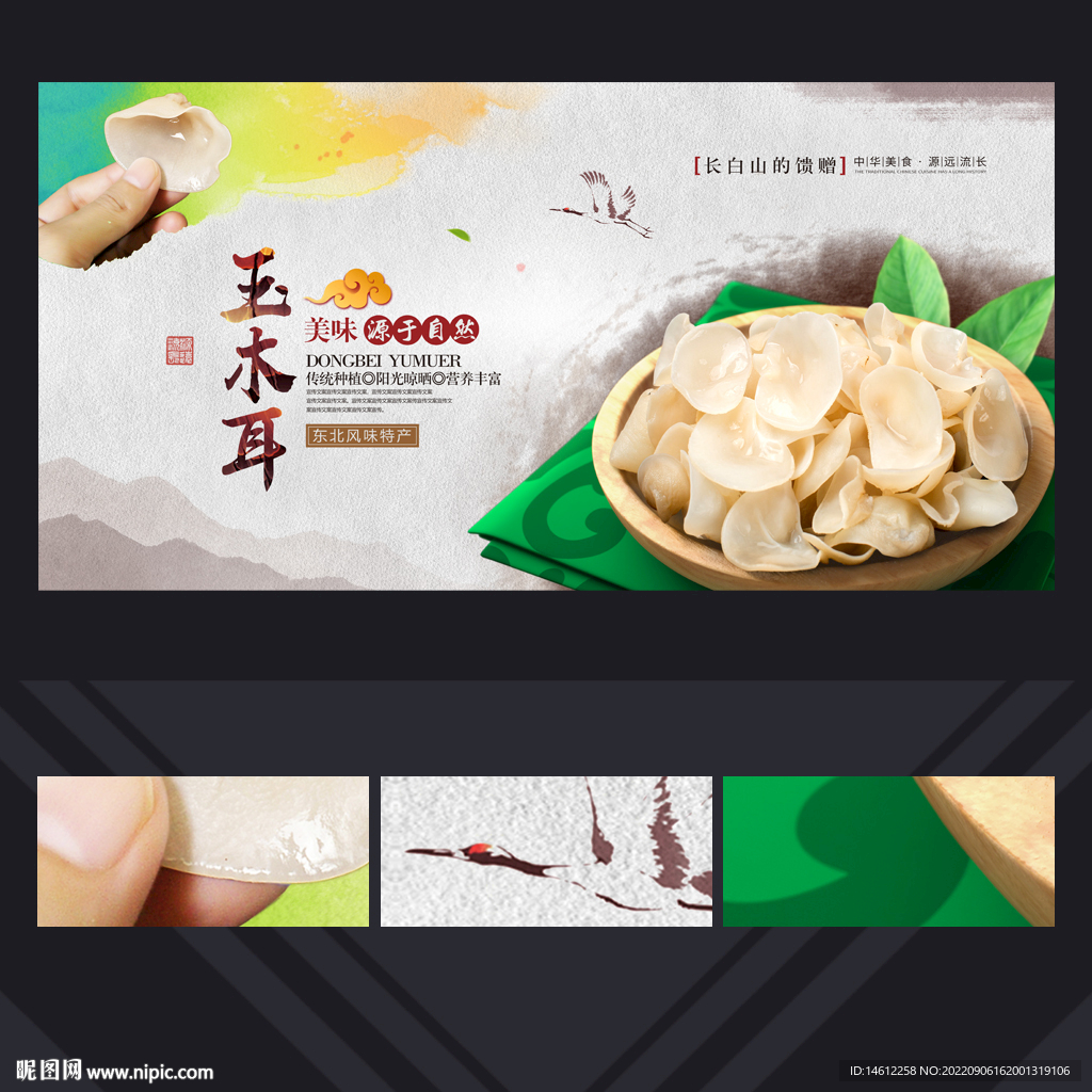 玉木耳