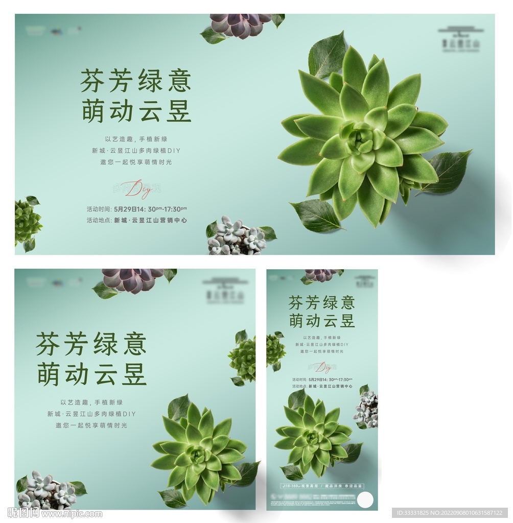 多肉活动