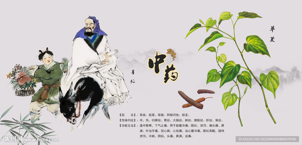 中医文化