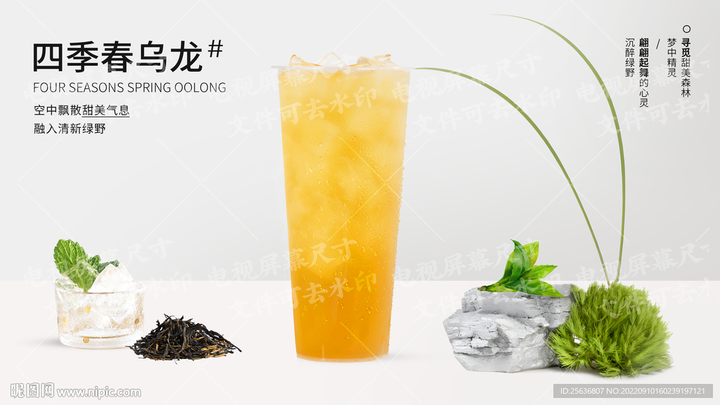 四季春乌龙